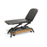 MediSports 2 Section Electric Treatment Table (Black)
