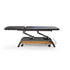 MediSports 2 Section Electric Treatment Table (Black)