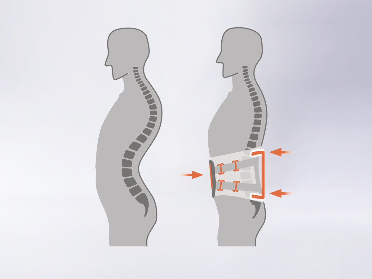 VERTEBRADYN®FORCE - physio supplies canada