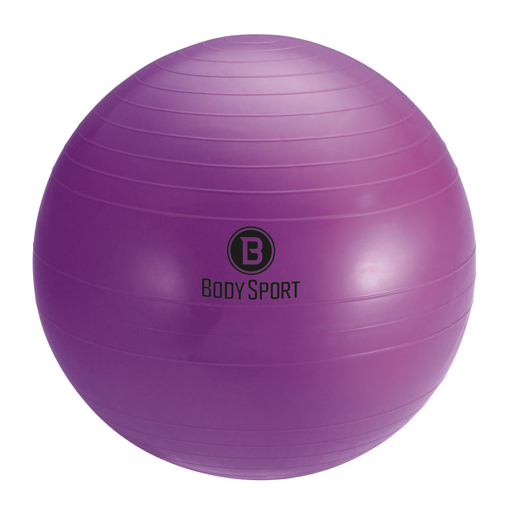 Body Sport Fitness Balls with Pump - physio supplies canada